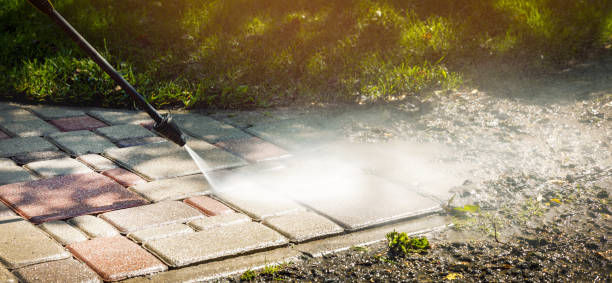 Best Gutter Cleaning  in Edgewood, NM